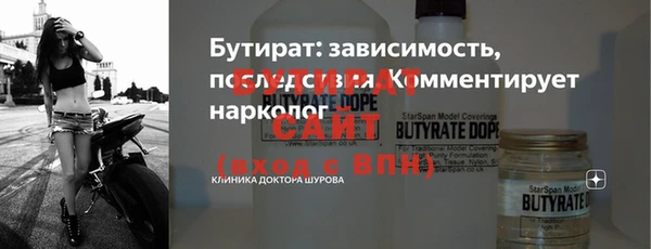 индика Янаул