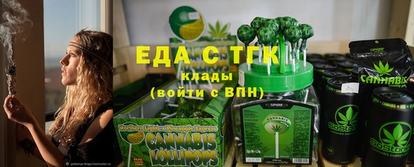 индика Янаул